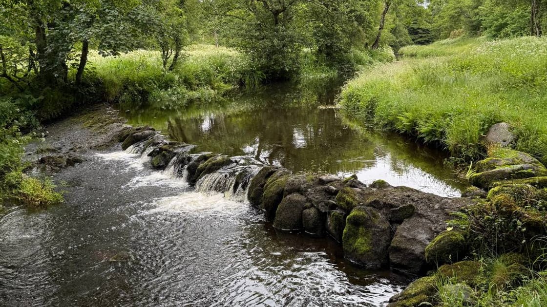 Stepping stones crossing an Islay stream between two grassy banks
